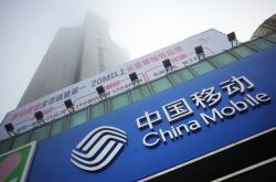 (4分钟教程)安徽亳州热线电话是多少_哔哩哔哩-3